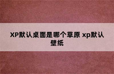 XP默认桌面是哪个草原 xp默认壁纸